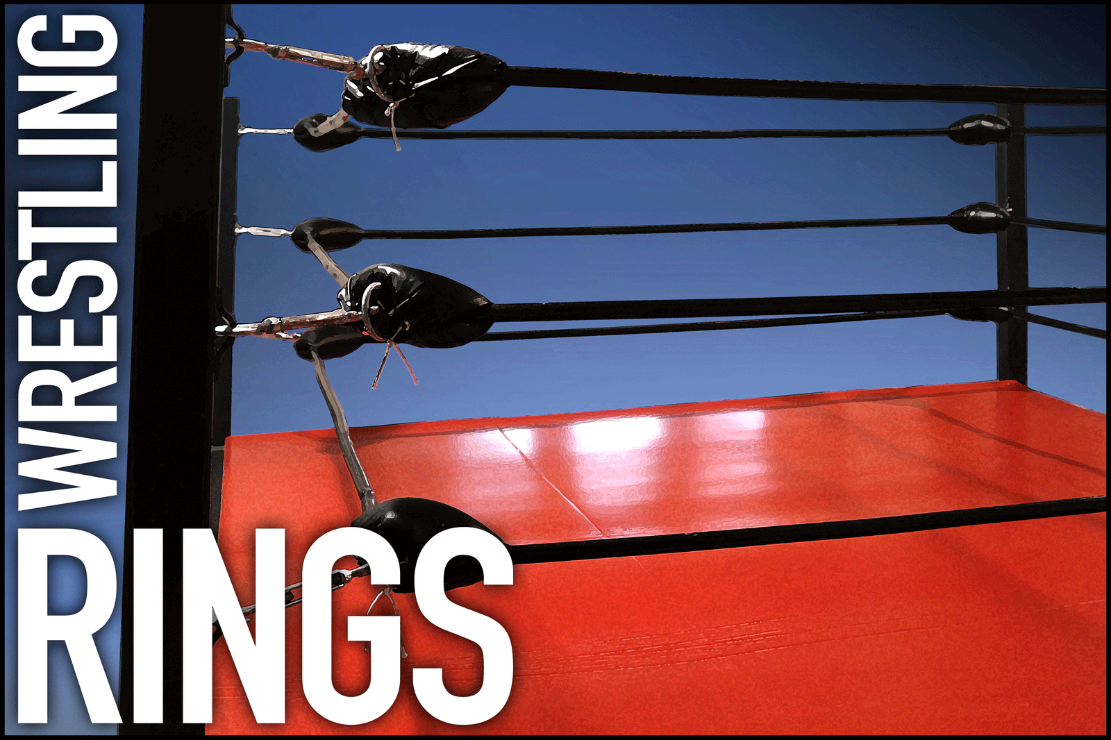 Boxing, Wrestling & MMA Equipment built by Monster Rings and Cages