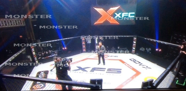 Ultimate Fighting Cages are built exclusively by Monster RIngs and Cages