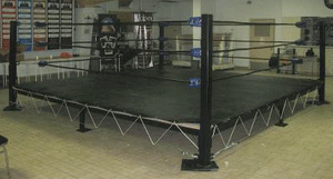 BACKYARD WRESTLING RING