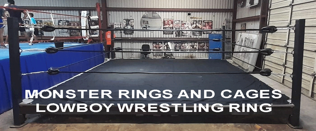wrestling ring backyard