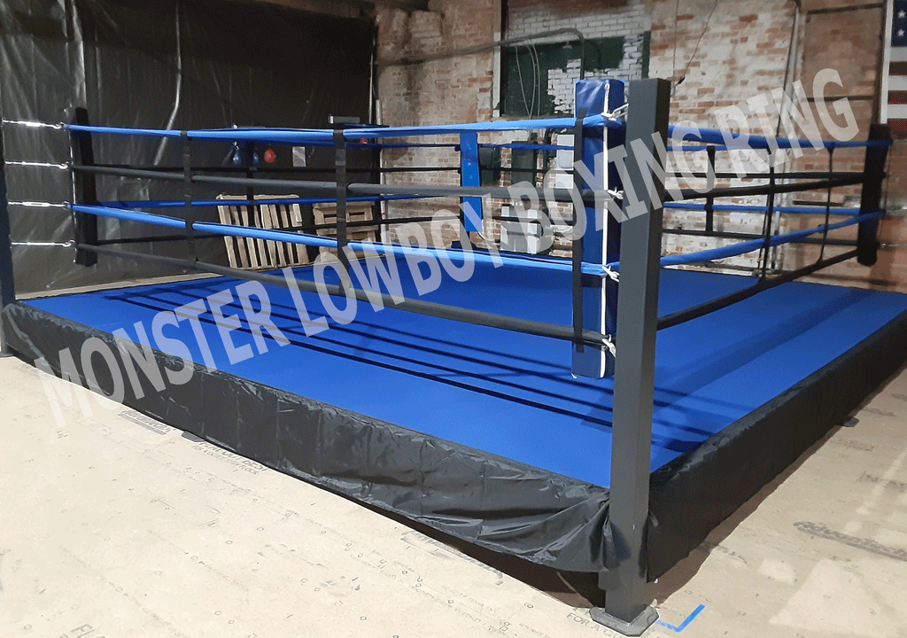 Empty boxing ring, blue flooring, view on corner with white ropes.  Professional arena for sport competitions and fighting tournaments, nobody,  bright Stock Photo - Alamy