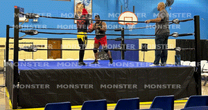 A Monster Pro Wrestling Ring is the best wrestling ring available