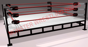 Monster Style 1 pro wrestling ring